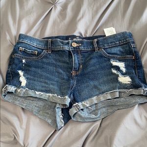 HOLLISTER JEAN SHORT SHORTS